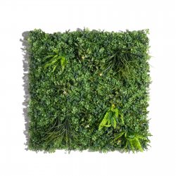 Supergreens Τεχνητή Φυλλωσιά Τριφύλλι με Ασπλήνιο Supergreens Τεχνητή Φυλλωσιά Τριφύλλι με Ασπλήνιο
