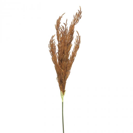 Supergreens Τεχνητό Κλαδί Pampas Καφέ 124 εκ. Supergreens Τεχνητό Κλαδί Pampas Καφέ 124 εκ.