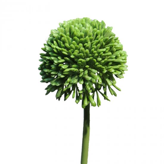 Supergreens Τεχνητό Κλωνάρι Κρεμμυδολούλουδο Πράσι Supergreens Τεχνητό Κλωνάρι Κρεμμυδολούλουδο Πράσι