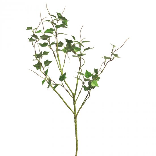 Supergreens Τεχνητό Κλαδί Κισσός Πράσινο 65 εκ. Supergreens Τεχνητό Κλαδί Κισσός Πράσινο 65 εκ.