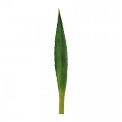 Supergreens Τεχνητό Φύλλο Αγαύη Πράσινο 48 εκ. Supergreens Τεχνητό Φύλλο Αγαύη Πράσινο 48 εκ.