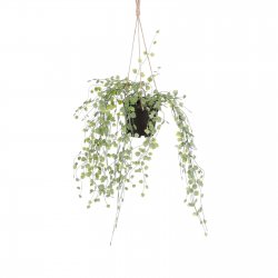 Supergreens Τεχνητό Κρεμαστό Φυτό String of Turtle Supergreens Τεχνητό Κρεμαστό Φυτό String of Turtle