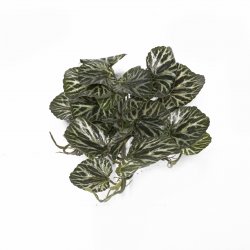 Supergreens Τεχνητή Κρεμαστή Σαξιφράγκα Sarmentosa Supergreens Τεχνητή Κρεμαστή Σαξιφράγκα Sarmentosa