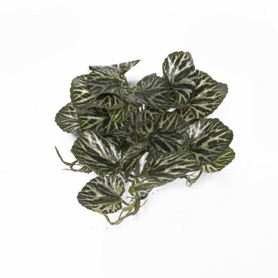 Supergreens Τεχνητή Κρεμαστή Σαξιφράγκα Sarmentosa Supergreens Τεχνητή Κρεμαστή Σαξιφράγκα Sarmentosa