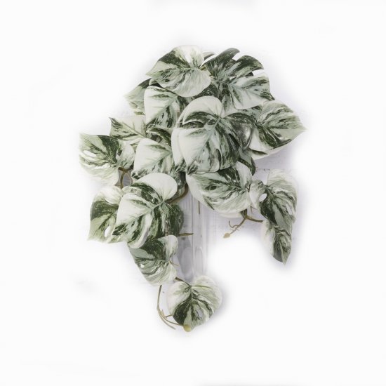 Supergreens Τεχνητή Κρεμαστή Μονστέρα Albo Variega Supergreens Τεχνητή Κρεμαστή Μονστέρα Albo Variega