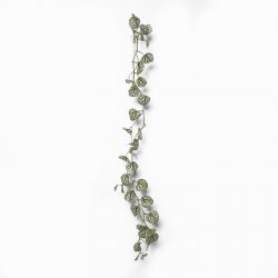 Supergreens Τεχνητή Γιρλάντα Σαξιφράγκα Sarmentosa Supergreens Τεχνητή Γιρλάντα Σαξιφράγκα Sarmentosa