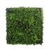 Supergreens Τεχνητή Φυλλωσιά Δράκαινα με Πυξάρι 10