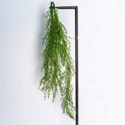 Supergreens Τεχνητή Κρεμαστή Τιλάνσια Andreana Πρά Supergreens Τεχνητή Κρεμαστή Τιλάνσια Andreana Πρά