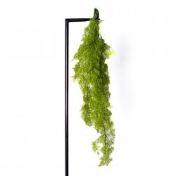 Supergreens Τεχνητό Κρεμαστό Σπαρράγγι Πράσινο Ανο Supergreens Τεχνητό Κρεμαστό Σπαρράγγι Πράσινο Ανο