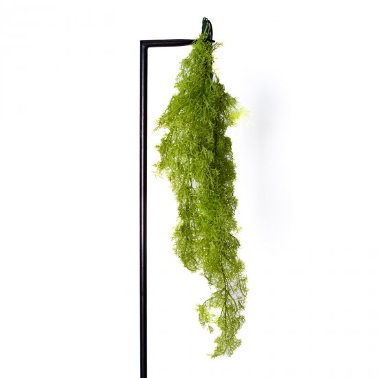 Supergreens Τεχνητό Κρεμαστό Σπαρράγγι Πράσινο Ανο Supergreens Τεχνητό Κρεμαστό Σπαρράγγι Πράσινο Ανο