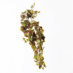Supergreens Τεχνητός Κρεμαστός Φίκος Afzelii Dual 