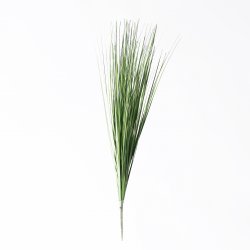 Supergreens Τεχνητός Χωνευτός Μίσχανθος Πράσινος Α