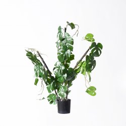 Supergreens Τεχνητό Φυτό Μονστέρα Supergreens Τεχνητό Φυτό Μονστέρα