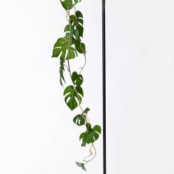 Supergreens Τεχνητή Γιρλάντα Μονστέρα Deliciosa Πρ Supergreens Τεχνητή Γιρλάντα Μονστέρα Deliciosa Πρ