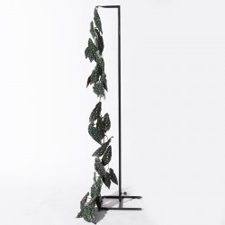 Supergreens Τεχνητή Γιρλάντα Μπιγκόνια Maculata Πρ Supergreens Τεχνητή Γιρλάντα Μπιγκόνια Maculata Πρ