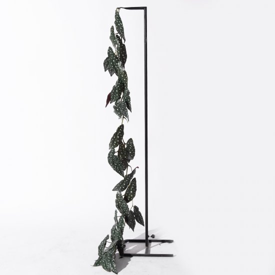 Supergreens Τεχνητή Γιρλάντα Μπιγκόνια Maculata Πρ Supergreens Τεχνητή Γιρλάντα Μπιγκόνια Maculata Πρ