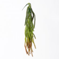Supergreens Τεχνητή Κρεμαστή Φτέρη Κόκκινη 84 εκ. Supergreens Τεχνητή Κρεμαστή Φτέρη Κόκκινη 84 εκ.