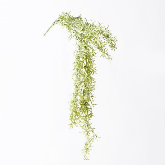 Supergreens Τεχνητό Κρεμαστό Σπαράγγι Λευκό 84 εκ. Supergreens Τεχνητό Κρεμαστό Σπαράγγι Λευκό 84 εκ.