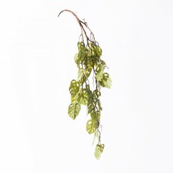 Supergreens Τεχνητή Κρεμαστή Μονστέρα Πράσινη Ανοι Supergreens Τεχνητή Κρεμαστή Μονστέρα Πράσινη Ανοι