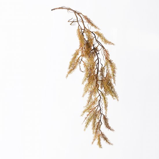 Supergreens Τεχνητό Κρεμαστό Reindeer Moss Καφέ 10 Supergreens Τεχνητό Κρεμαστό Reindeer Moss Καφέ 10