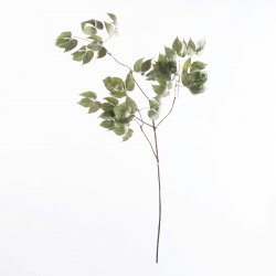 Supergreens Τεχνητό Κλαδί Κισσός Πράσινο 109 εκ. Supergreens Τεχνητό Κλαδί Κισσός Πράσινο 109 εκ.