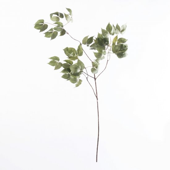 Supergreens Τεχνητό Κλαδί Κισσός Πράσινο 109 εκ. Supergreens Τεχνητό Κλαδί Κισσός Πράσινο 109 εκ.