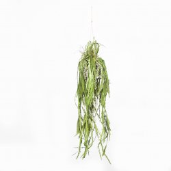 Supergreens Τεχνητή Κρεμαστή Ρίζα/Φωτιστικό Επίφυλ Supergreens Τεχνητή Κρεμαστή Ρίζα/Φωτιστικό Επίφυλ