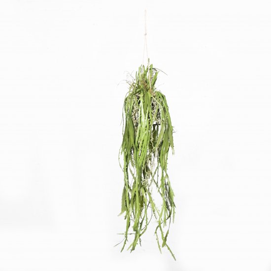 Supergreens Τεχνητή Κρεμαστή Ρίζα/Φωτιστικό Επίφυλ Supergreens Τεχνητή Κρεμαστή Ρίζα/Φωτιστικό Επίφυλ