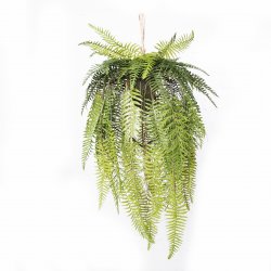 Supergreens Τεχνητή Κρεμαστή Ρίζα/Φωτιστικό Φτέρη Supergreens Τεχνητή Κρεμαστή Ρίζα/Φωτιστικό Φτέρη