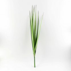 Supergreens Τεχνητός Χωνευτός Πάπυρος 