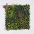 Supergreens Τεχνητή Φυλλωσιά Κισσός με Στίπα 100x1