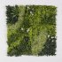 Supergreens Τεχνητή Φυλλωσιά Moss Τρίχρωμη 100x100