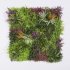 Supergreens Τεχνητή Φυλλωσιά Moss με Στίπα 100x100