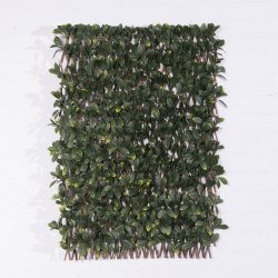 Supergreens Τεχνητή Φυλλωσιά Πτυσσόμενη Σεφλέρα 10 Supergreens Τεχνητή Φυλλωσιά Πτυσσόμενη Σεφλέρα 10