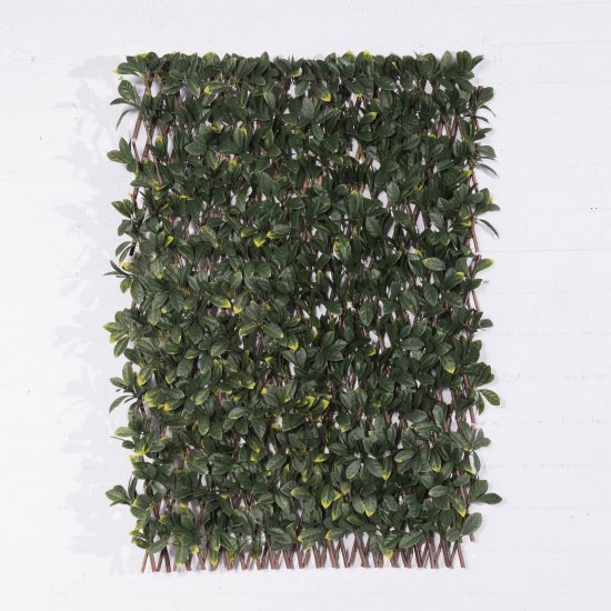 Supergreens Τεχνητή Φυλλωσιά Πτυσσόμενη Σεφλέρα 10 Supergreens Τεχνητή Φυλλωσιά Πτυσσόμενη Σεφλέρα 10