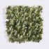 Supergreens Τεχνητή Φυλλωσιά Moss Hyloconium 50x50