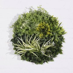 Supergreens Τεχνητή Φυλλωσιά Κάλαμος με Moss D:50 Supergreens Τεχνητή Φυλλωσιά Κάλαμος με Moss D:50