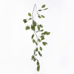 Supergreens Τεχνητό Κλαδί Ευκάλυπτος Grovevale Πρά Supergreens Τεχνητό Κλαδί Ευκάλυπτος Grovevale Πρά