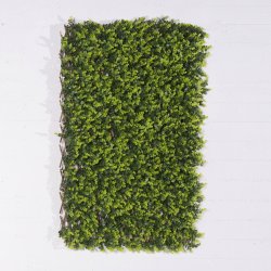 Supergreens Τεχνητή Φυλλωσιά Πτυσσόμενη Πυξάρι Supergreens Τεχνητή Φυλλωσιά Πτυσσόμενη Πυξάρι