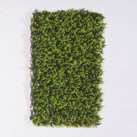 Supergreens Τεχνητή Φυλλωσιά Πτυσσόμενη Πυξάρι Supergreens Τεχνητή Φυλλωσιά Πτυσσόμενη Πυξάρι