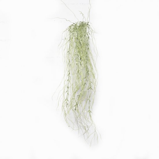 Supergreens Τεχνητή Κρεμαστή Ριψαλίδα Verdanus Πρά Supergreens Τεχνητή Κρεμαστή Ριψαλίδα Verdanus Πρά