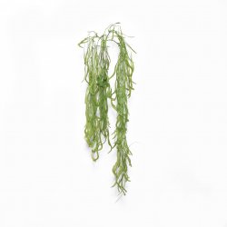 Supergreens Τεχνητό Κρεμαστό Χορτάρι Supergreens Τεχνητό Κρεμαστό Χορτάρι