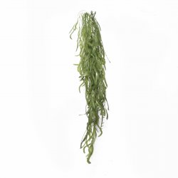 Supergreens Τεχνητό Κρεμαστό Χορτάρι Supergreens Τεχνητό Κρεμαστό Χορτάρι
