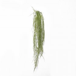 Supergreens Τεχνητή Κρεμαστή Ρουσέλια Πράσινη 110 Supergreens Τεχνητή Κρεμαστή Ρουσέλια Πράσινη 110