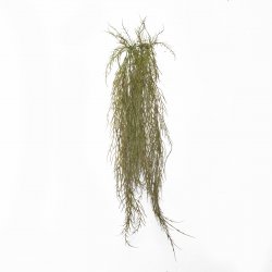 Supergreens Τεχνητή Κρεμαστή Ρουσέλια Καφέ 110 εκ. Supergreens Τεχνητή Κρεμαστή Ρουσέλια Καφέ 110 εκ.