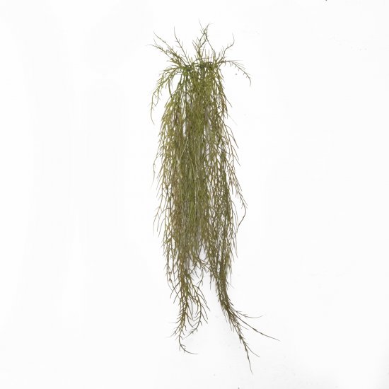 Supergreens Τεχνητή Κρεμαστή Ρουσέλια Καφέ 110 εκ. Supergreens Τεχνητή Κρεμαστή Ρουσέλια Καφέ 110 εκ.