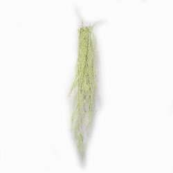 Supergreens Τεχνητή Κρεμαστή Ρουσέλια Supergreens Τεχνητή Κρεμαστή Ρουσέλια
