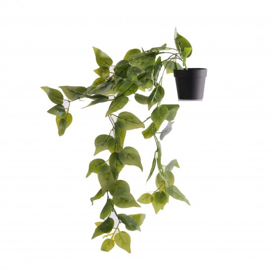 Supergreens Τεχνητό Φυτό Πόθος Πανασέ Πράσινο 63 ε Supergreens Τεχνητό Φυτό Πόθος Πανασέ Πράσινο 63 ε