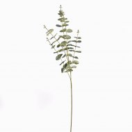 Supergreens Τεχνητό Κλαδί Ευκάλυπτος Cinera x5 Πρά