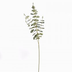 Supergreens Τεχνητό Κλαδί Ευκάλυπτος Cinera x5 Πρά Supergreens Τεχνητό Κλαδί Ευκάλυπτος Cinera x5 Πρά